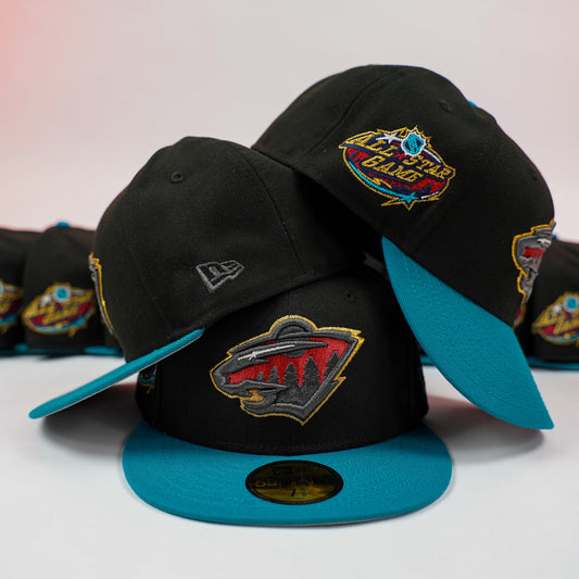“Northern Lights” Minnesota Wild