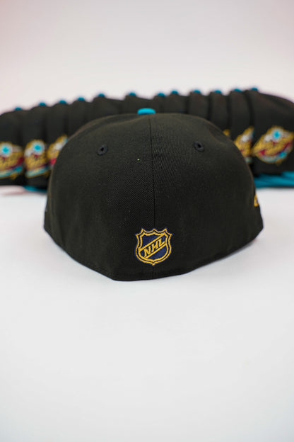 “Northern Lights” Minnesota Wild